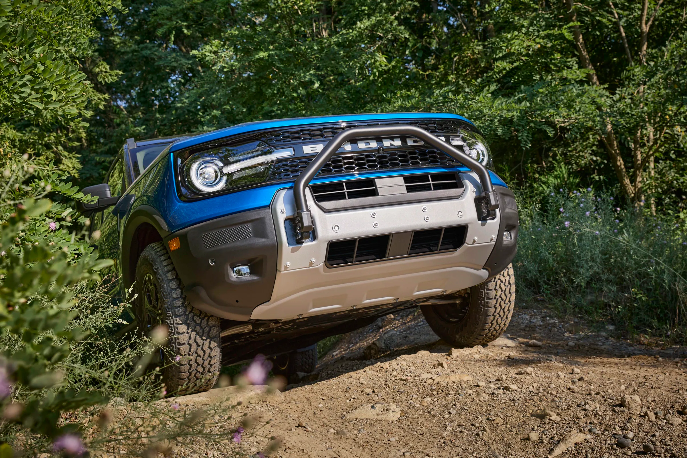 2021 Ford Bronco Sport Big Bend Problems and Known Issues