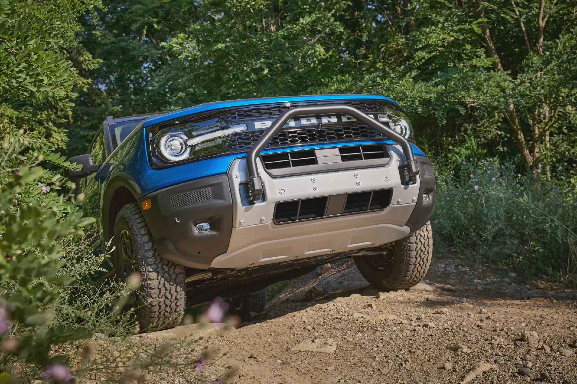 2021 Ford Bronco Sport Big Bend Problems and Known Issues